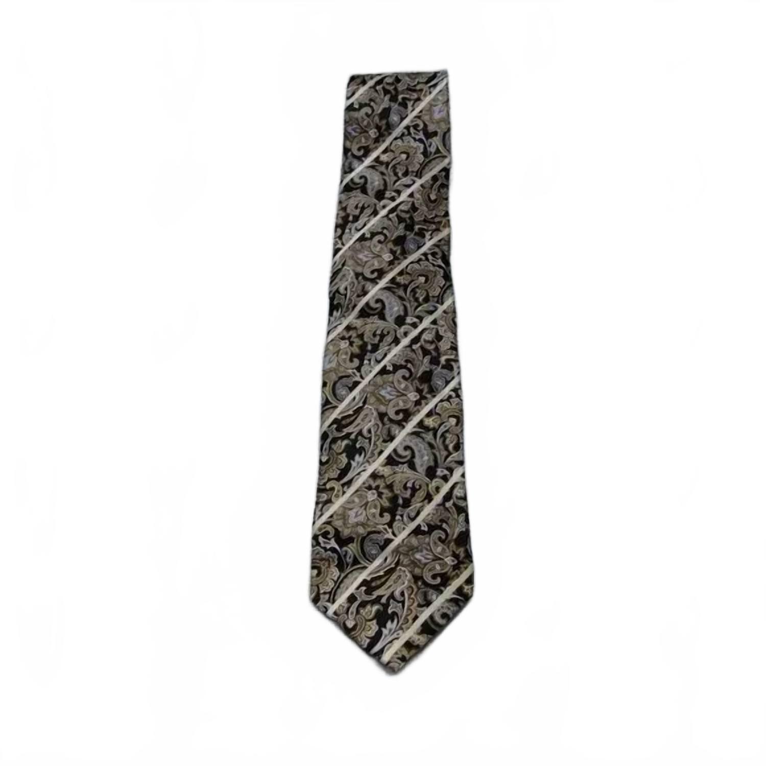New Stefano Ricci Men's Classic Silk Tie In Brown Paisley